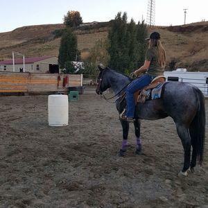 Meet your Posher, Dallas